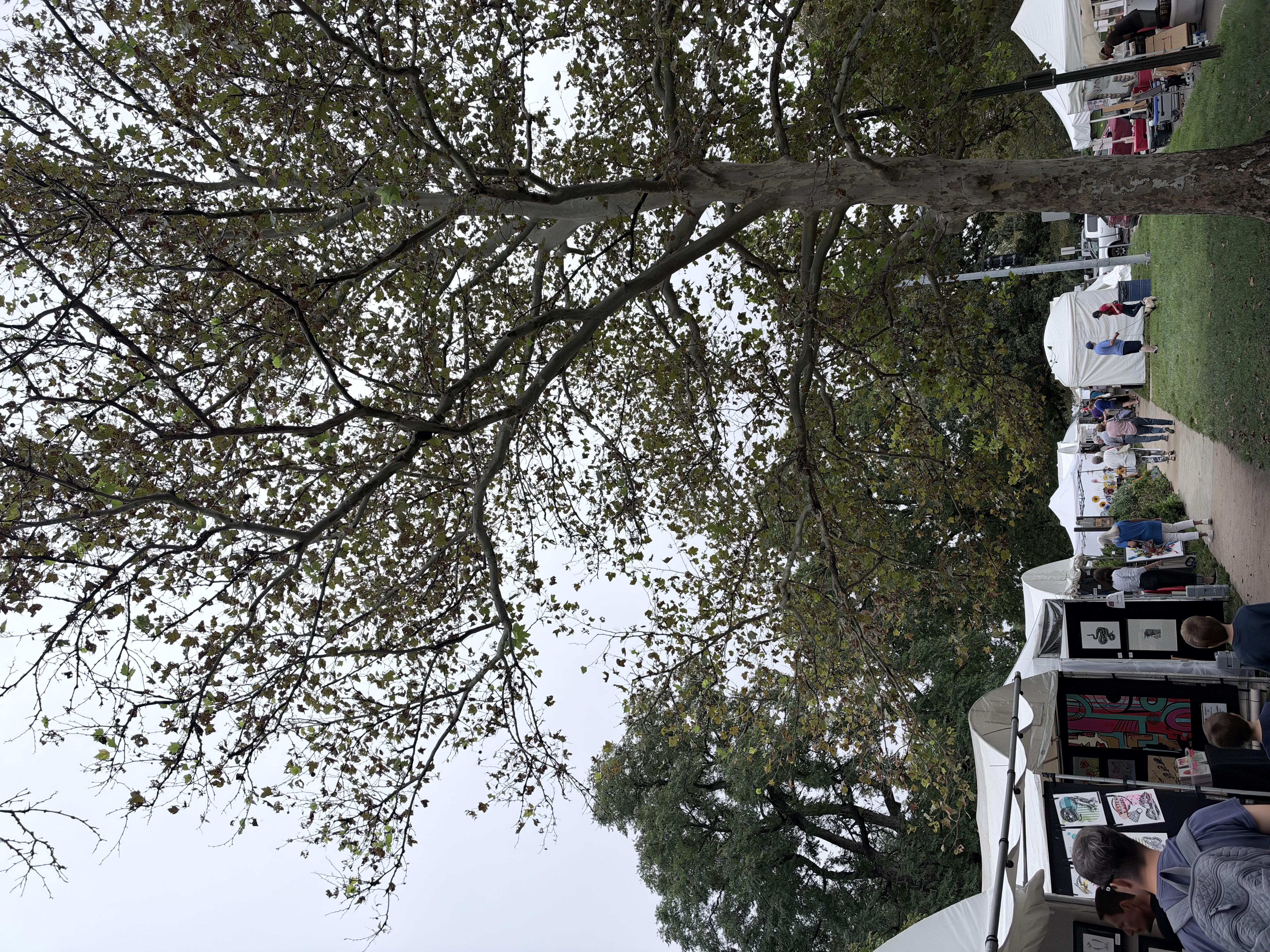 Lawrence Art in the Park 2026