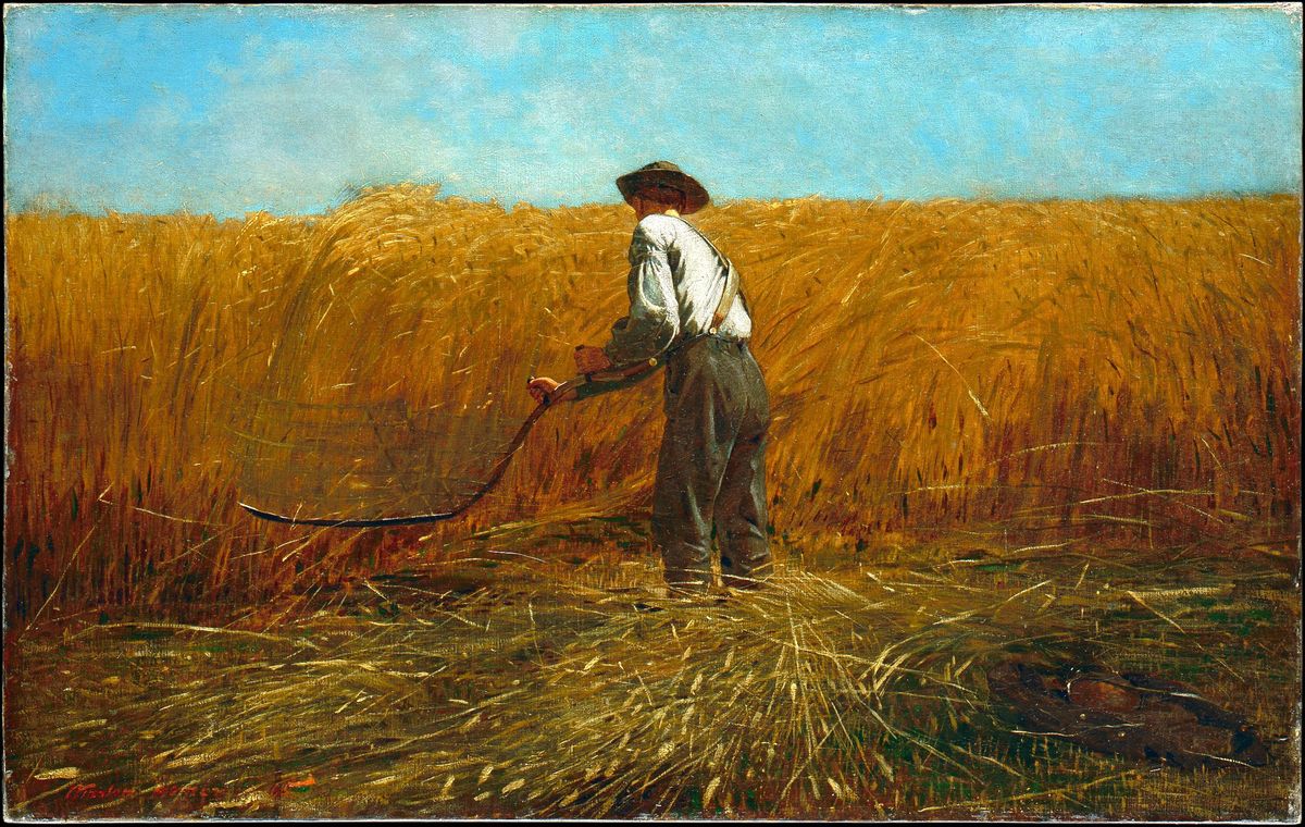 The Veteran in a New Field