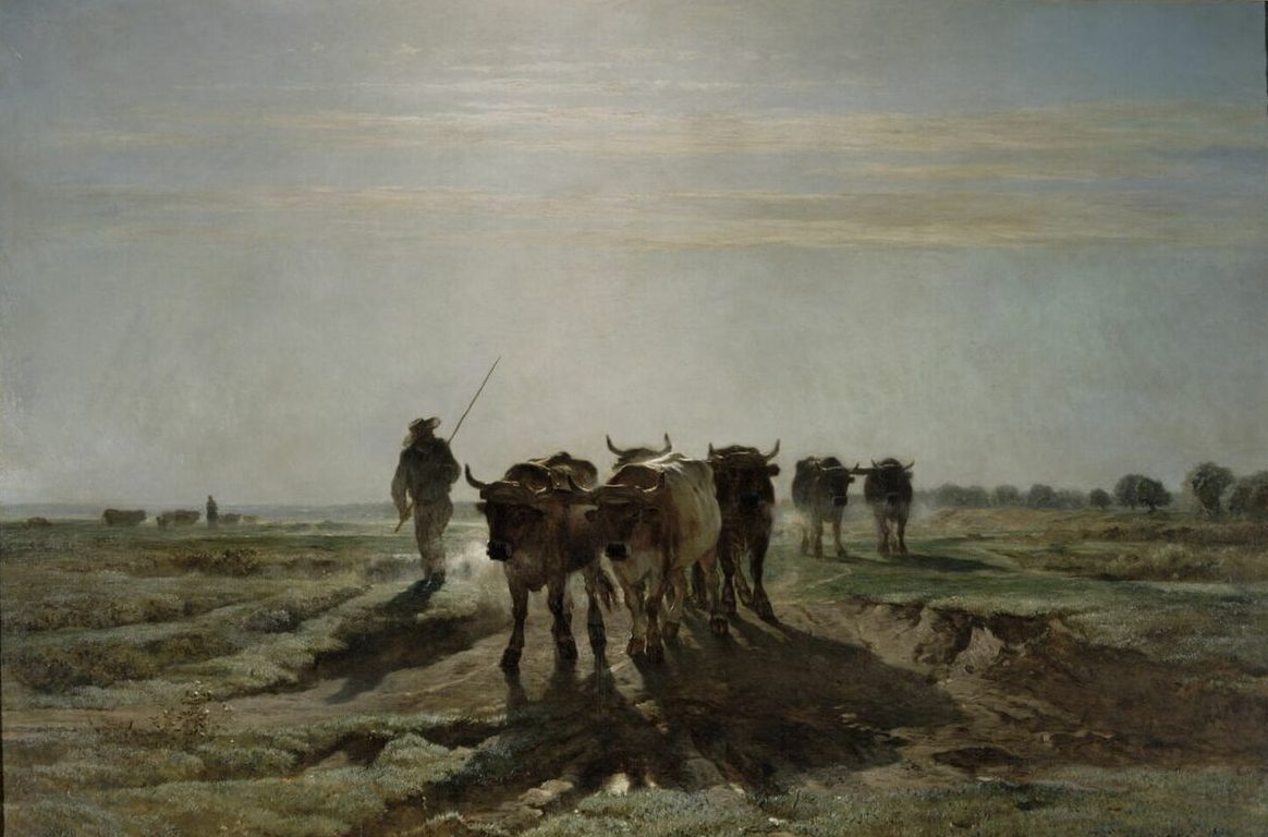 Oxen Going to Work, Morning Effect