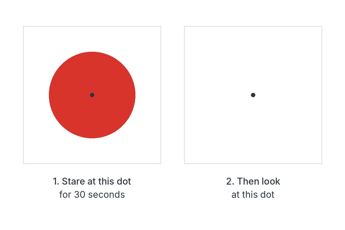 A red disk with a black dot in its center beside a blank white square with a matching dot, with instructions to stare at the first dot and then look at the second.