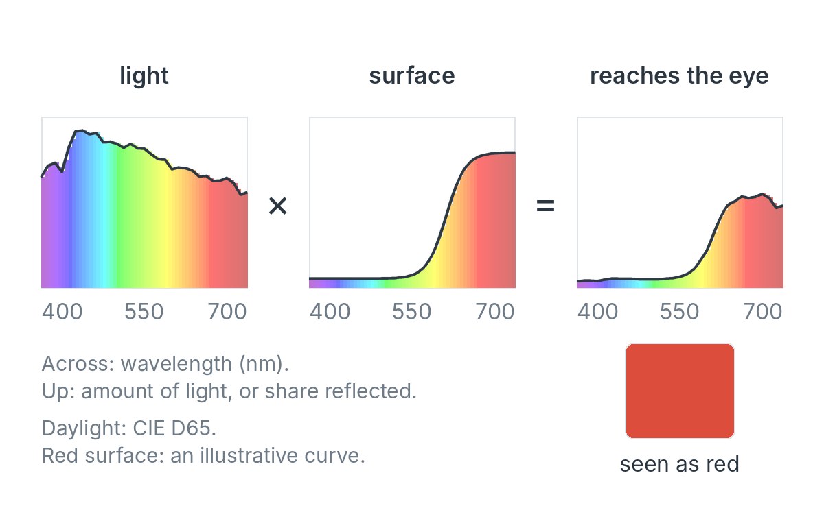 Diagram: how a red surface turns white daylight into red light
