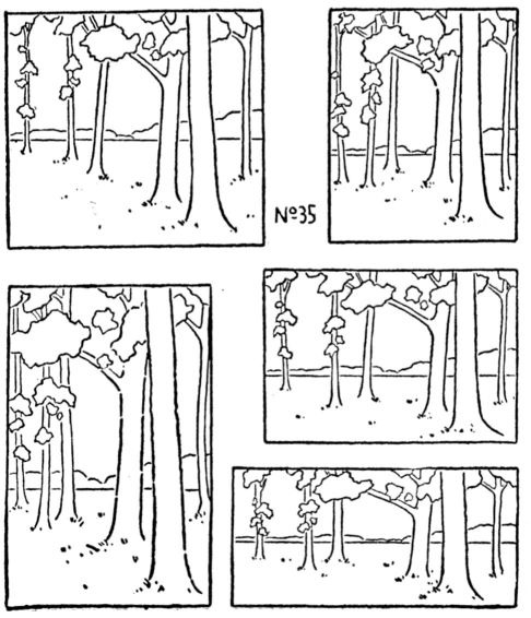 Dow's line drawing of one stand of tall tree trunks and leafy tops, framed five ways: tall, square and wide rectangles, each cutting the trunks and foliage at different places.