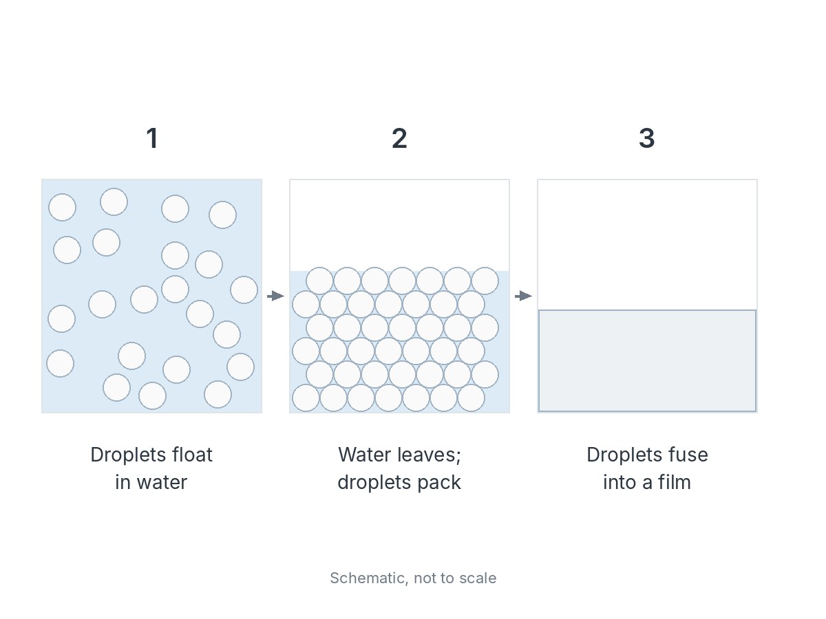 How an acrylic film forms