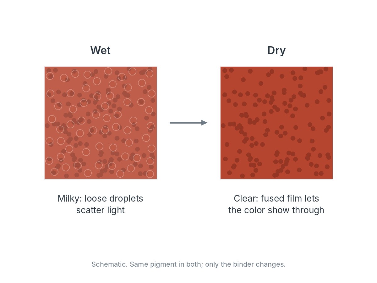 Schematic of two swatches of the same red acrylic: wet, the color looks paler under a milky haze of loose droplets that scatter light; dry, the droplets have fused and the color is seen through a clear film.