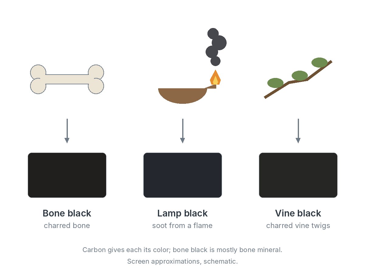 Three sources and their blacks: a bone becomes bone black, soot from a lamp flame becomes lamp black, and charred vine twigs become vine black. Carbon gives each its color; bone black is mostly bone mineral.
