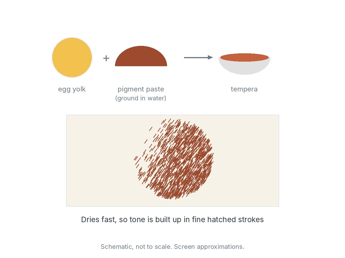 Egg yolk plus a pigment paste (pigment ground in water) makes tempera. Below, a sphere modeled entirely in short hatched strokes, because tempera dries fast and tone is built up stroke by stroke.