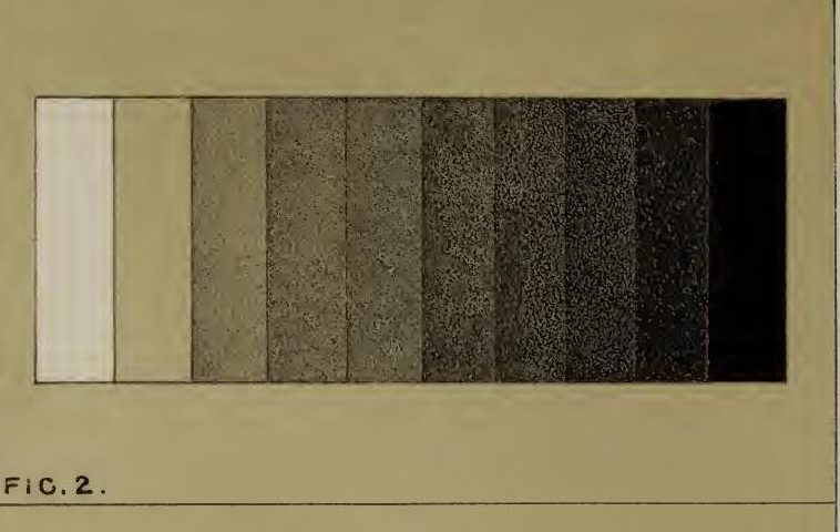 Merrifield's strip of ten tones running from near-white at the left to black at the right.
